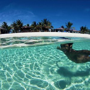 Bohio Dive Resort